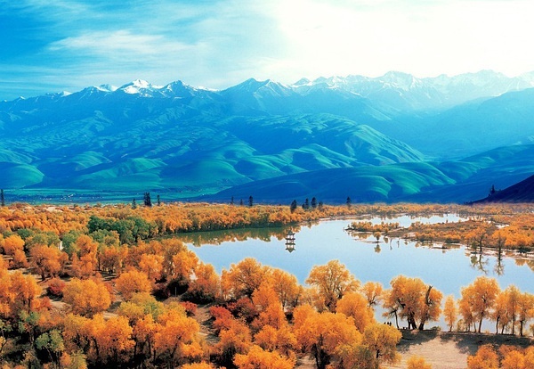 新疆之旅，初学者必读的绝美风光与多元文化探索指南